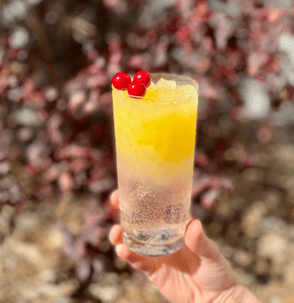 Cranberry Orange Lotus Iced Drink